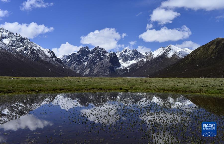 （新華全媒頭條·聚焦生物多樣性大會·圖文互動）（7）攜手同行，開啟人類高質(zhì)量發(fā)展新征程——習近平主席在《生物多樣性公約》第十五次締約方大會領導人峰會上的主旨講話解讀