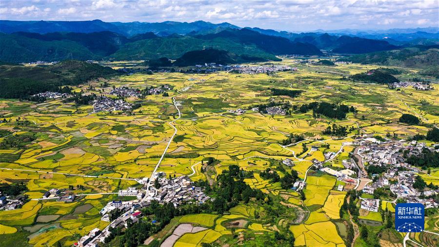 (新華全媒頭條·圖文互動(dòng))(7)從百年黨史汲取不懈奮斗的力量——與會(huì)同志談黨的十九屆六中全會(huì)精神